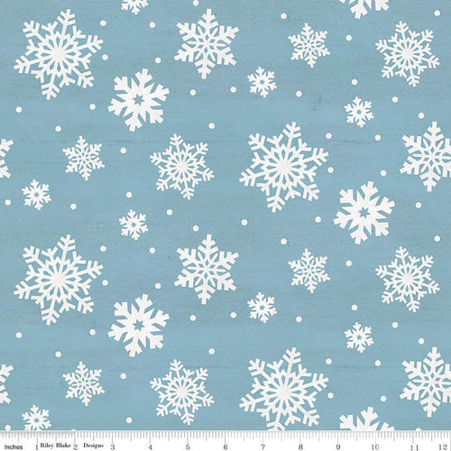 Monthly Placemats - January Snowflakes Aqua by Tara Reed