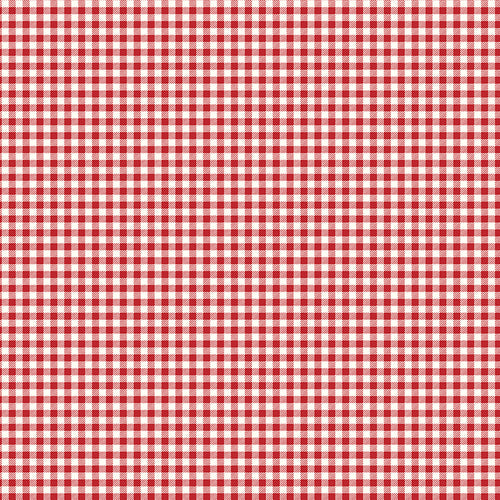 Bee Ginghams - Tina Schoolhouse Red by Lori Holt