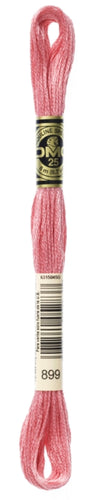 DMC Floss - 899