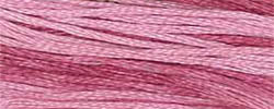 Classic Colorworks Floss - Prickly Pear