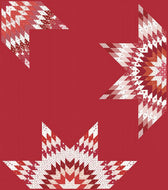 Hot Tamale Boxed Quilt Kit by the RBD Designers