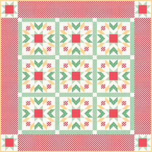 Gingham Star Quilt Kits by Lori Holt