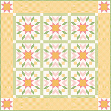 Load image into Gallery viewer, Gingham Star Quilt Kits by Lori Holt